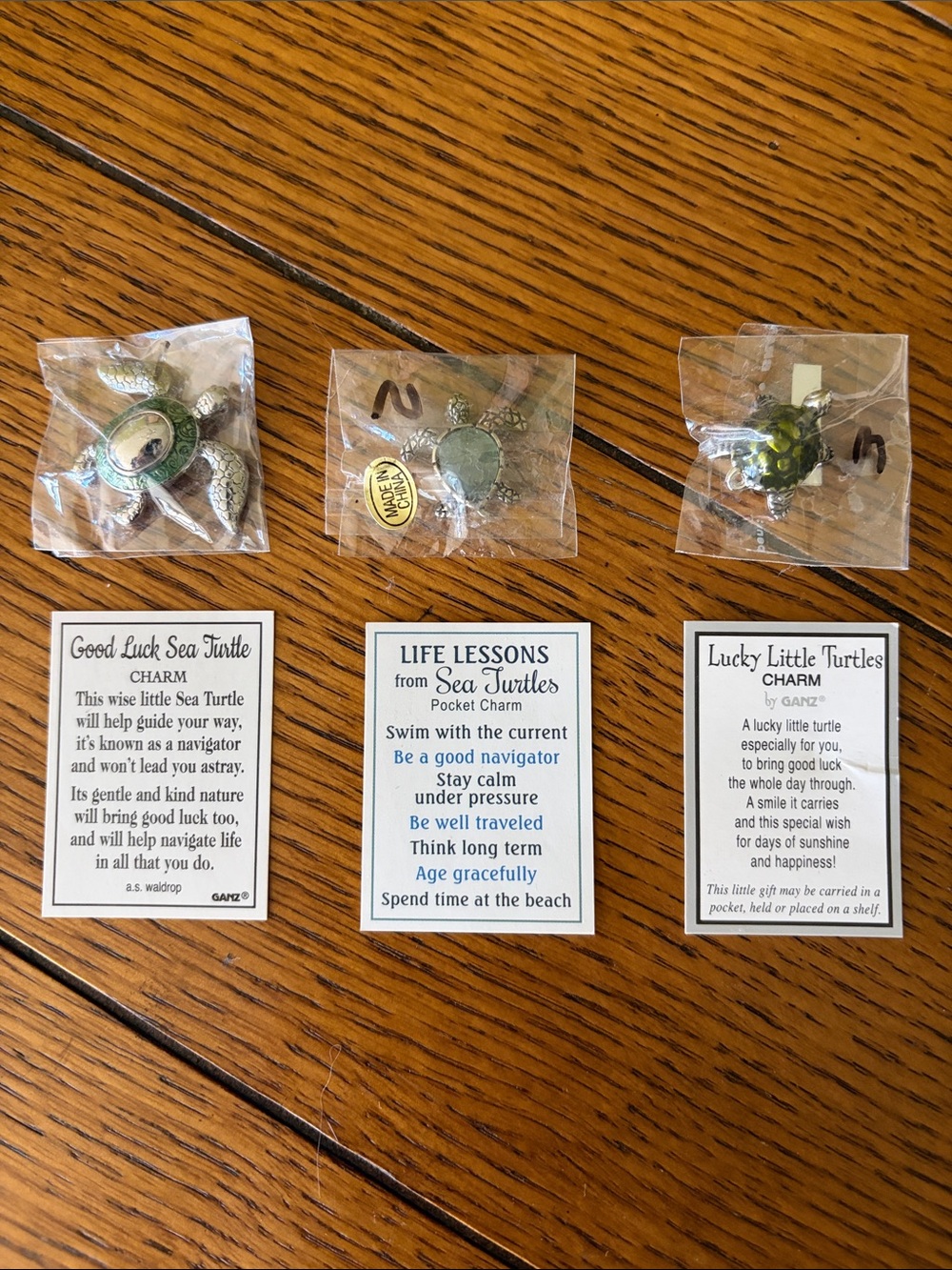 GANZ Green Sea Turtle Pocket Charms with Sentiment Cards - Set of 3